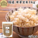 発芽玄米 1kg 発芽米 玄米 無洗米 国産 無添加 100% 業務用 送料無料 ビタミン B群 E カルシウム ギャバ GABA ミネラル マグネシウム 食物繊維 マクロビ 簡単 かんたん 手軽 常温保存 一人 ひとり 暮らし お弁当 おにぎり あずき 小豆 黒米 赤米 雑穀米 雑穀 ごはん 料理 1