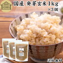 発芽玄米 1kg×3個 発芽米 玄米 無洗米 国産 無添加 100% 業務用 送料無料 ビタミン B群 E カルシウム ギャバ GABA ミネラル マグネシウム 食物繊維 マクロビ 簡単 かんたん 手軽 常温 一人 ひとり 暮らし お弁当 おにぎり あずき 小豆 黒米 赤米 雑穀米 雑穀 ごはん 料理