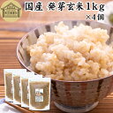 発芽玄米 1kg×4個 発芽米 玄米 無洗米 国産 無添加 100% 業務用 大容量 ビタミン B群 E カルシウム ギャバ GABA ミネラル マグネシウム 食物繊維 マクロビ 簡単 かんたん 手軽 常温保存 一人 ひとり 暮らし お弁当 おにぎり あずき 小豆 黒米 赤米 雑穀米 雑穀 ごはん 料理