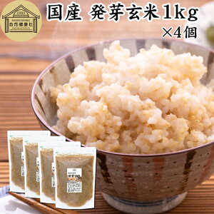 発芽玄米 1kg×4個 発芽米 玄米 無洗米 国産 無添加 100% 業務用 大容量 ビタミン B群 E カルシウム ギャバ GABA ミネラル マグネシウム 食物繊維 マクロビ 簡単 かんたん 手軽 常温保存 一人 ひとり 暮らし お弁当 おにぎり あずき 小豆 黒米 赤米 雑穀米 雑穀 ごはん 料理