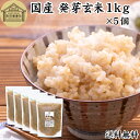 発芽玄米 1kg×5個 発芽米 玄米 無洗米 国産 100% 業務用 保存料 無添加 大容量 ビタミン B群 E カルシウム ギャバ GABA ミネラル マグネシウム 食物繊維 マクロビ 簡単 かんたん 手軽 常温 一人 ひとり 暮らし 弁当 おにぎり あずき 小豆 黒米 赤米 雑穀米 雑穀 ごはん 料理