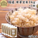 発芽玄米 1kg×5個 発芽米 玄米 無洗米 国産 無添加 100% 業務用 送料無料 ビタミン B群 E カルシウム ギャバ GABA ミネラル マグネシウム 食物繊維 マクロビ 簡単 かんたん 手軽 常温 一人 ひとり 暮らし お弁当 おにぎり あずき 小豆 黒米 赤米 雑穀米 雑穀 ごはん 料理