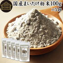 まいたけ粉末 100g×5個 舞茸粉末 まいたけ茶 舞茸茶 乾燥 国産 100% 保存料 無添加 マイタケ粉末 パウダー 無農薬 ダイエット ふんまつ きのこ ...