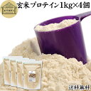 玄米プロテイン 1kg×4個 ブラウンライス 甘くない プロテイン ライス 女性 タンパク質 パウダー こども 高齢者 高校生 お試し 保存料 無添加 粉末 た...