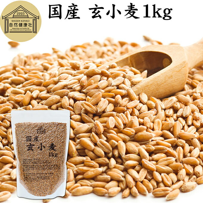 玄小麦 1kg 全粒小麦 北海道産 国産 きたほなみ 100% 業務用 保存料 無添加 製粉前 未精白 小麦粒 胚乳 胚芽 小麦 ふすま フスマ ブラン 食物繊維 ビタミン B1 B6 E カリウム マグネシウム 麦ごはん 麦ご飯 雑穀 ごはん 自然 美容 健康 全粒粉に 製菓 材料 パン 生地 穀物