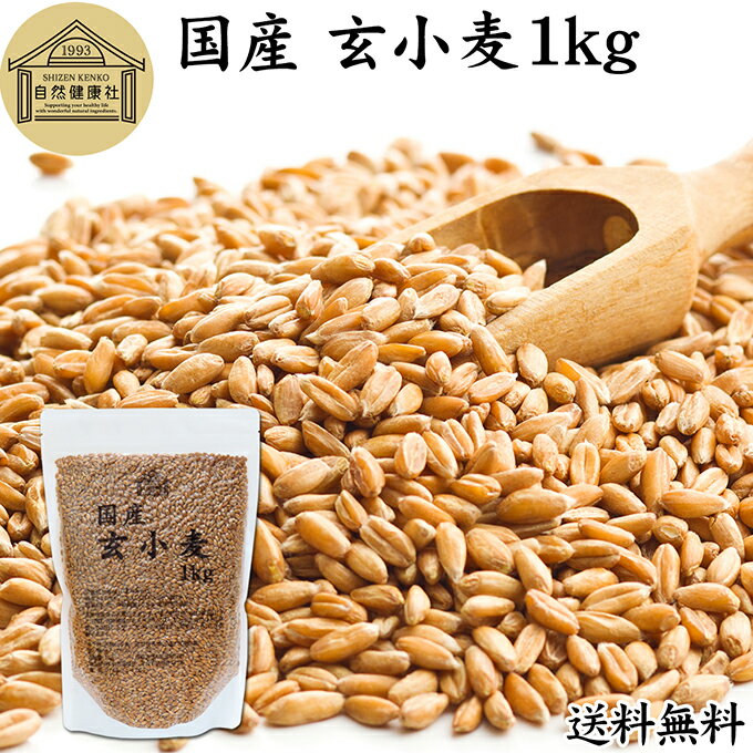玄小麦 1kg 全粒小麦 北海道産 国産 きたほなみ 100% 業務用 保存料 無添加 製粉前 未精白 小麦粒 胚乳 胚芽 小麦 ふすま フスマ ブラン 食物繊維 ビタミン B1 B6 E カリウム マグネシウム 麦ごはん 麦ご飯 雑穀 ごはん 自然 美容 健康 全粒粉に 製菓 材料 パン 生地 穀物