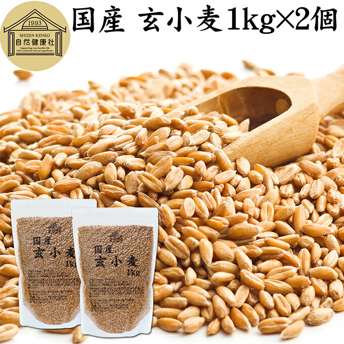 樂天商城 - 玄小麦 1kg×2個 全粒小麦 北海道産 国産 きたほなみ 100% 業務用 保存料 無添加 製粉前 未精白 小麦粒 胚乳 胚芽 小麦 ふすま フスマ ブラン 食物繊維 ビタミン B1 B6 E カリウム マグネシウム 麦ごはん 麦ご飯 雑穀 ごはん 自然 美容 健康 全粒粉に 製菓 材料 パン 生地