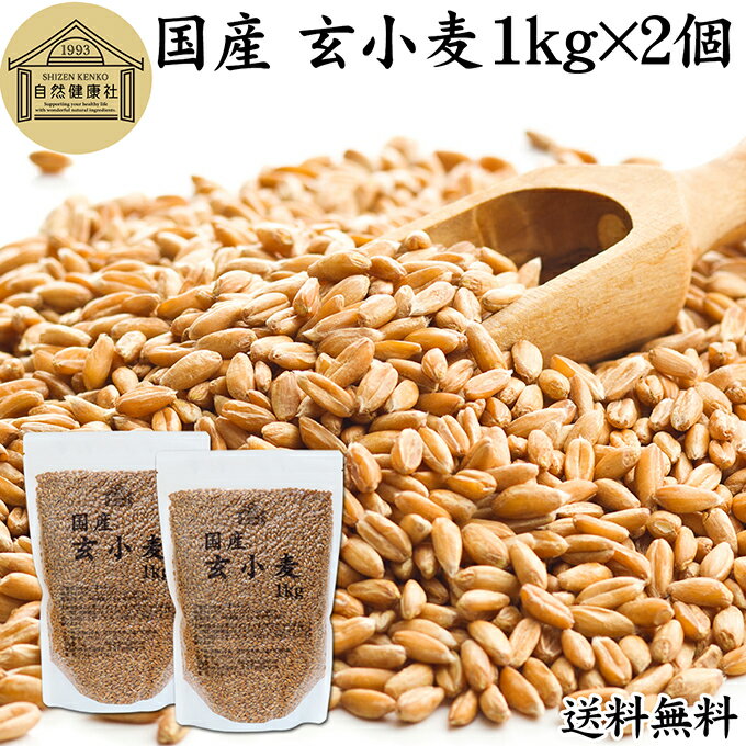 玄小麦 1kg×2個 全粒小麦 北海道産 国産 きたほなみ 100% 業務用 保存料 無添加 製粉前 未精白 小麦粒 胚乳 胚芽 小麦 ふすま フスマ ..