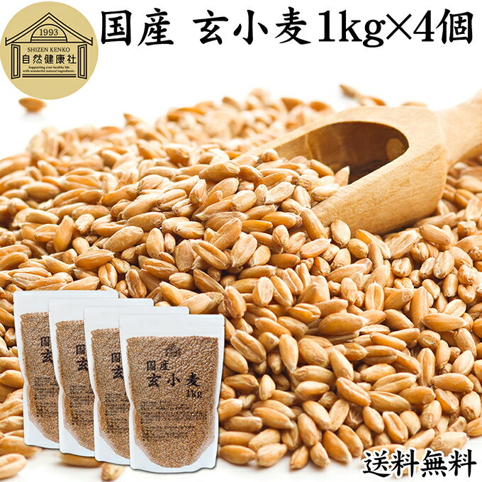 樂天商城 - 玄小麦 1kg×4個 全粒小麦 北海道産 国産 きたほなみ 100% 業務用 保存料 無添加 製粉前 未精白 小麦粒 胚乳 胚芽 小麦 ふすま フスマ ブラン 食物繊維 ビタミン B1 B6 E カリウム マグネシウム 麦ごはん 麦ご飯 雑穀 ごはん 自然 美容 健康 全粒粉に 製菓 材料 パン 生地