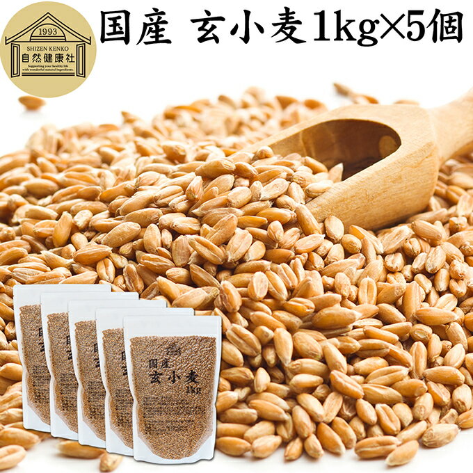 樂天商城 - 玄小麦 1kg×5個 全粒小麦 北海道産 国産 きたほなみ 100% 業務用 保存料 無添加 製粉前 未精白 小麦粒 胚乳 胚芽 小麦 ふすま フスマ ブラン 食物繊維 ビタミン B1 B6 E カリウム マグネシウム 麦ごはん 麦ご飯 雑穀 ごはん 自然 美容 健康 全粒粉に 製菓 材料 パン 生地