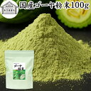 ゴーヤ粉末 100g 青汁 粉末 お試し 国産 ゴーヤ パウダー 保存料 無添加 あおじる 粉末 野菜 ジュース ゴーヤー茶 ゴーヤ茶 ごーやー茶 ごーや茶 ご...