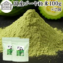 ゴーヤ粉末 100g×2個 青汁 粉末 お試し 国産 ゴーヤ パウダー 保存料 無添加 あおじる 粉末 野菜 ジュース ゴーヤー茶 ゴーヤ茶 ごーやー茶 ごーや...