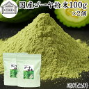ゴーヤ粉末 100g×2個 青汁 粉末 お試し 国産 ゴーヤ パウダー 保存料 無添加 あおじる 粉末 野菜 ジュース ゴーヤー茶 ゴーヤ茶 ごーやー茶 ごーや茶 ごーやー 自然健康社 おすすめ おいしい お得 サプリメント ランキング スムージー まるごと ヴィーガン 売れ筋 丸ごと