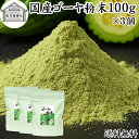 ゴーヤ粉末 100g×3個 青汁 粉末 お試し 国産 ゴーヤ パウダー 保存料 無添加 あおじる 粉末 野菜 ジュース ゴーヤー茶 ゴーヤ茶 ごーやー茶 ごーや茶 ごーやー 自然健康社 おすすめ おいしい お得 サプリメント ランキング スムージー まるごと ヴィーガン 売れ筋 丸ごと
