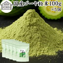 ゴーヤ粉末 100g×5個 青汁 粉末 お試し 国産 ゴーヤ パウダー 保存料 無添加 あおじる 粉末 野菜 ジュース ゴーヤー茶 ゴーヤ茶 ごーやー茶 ごーや...