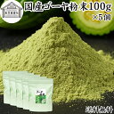 ゴーヤ粉末 100g×5個 青汁 粉末 お試し 国産 ゴーヤ パウダー 保存料 無添加 あおじる 粉末 野菜 ジュース ゴーヤー茶 ゴーヤ茶 ごーやー茶 ごーや茶 ごーやー 自然健康社 おすすめ おいしい お得 サプリメント ランキング スムージー まるごと ヴィーガン 売れ筋 丸ごと