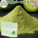ゴーヤ粉末 100g×10個 青汁 粉末 お試し 国産 ゴーヤ パウダー 保存料 無添加 あおじる 粉末 野菜 ジュース ゴーヤー茶 ゴーヤ茶 ごーやー茶 ごー...