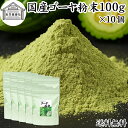 ゴーヤ粉末 100g×10個 青汁 粉末 お試し 国産 ゴーヤ パウダー 保存料 無添加 あおじる 粉末 野菜 ジュース ゴーヤー茶 ゴーヤ茶 ごーやー茶 ごーや茶 ごーやー 自然健康社 おすすめ おいしい お得 サプリメント ランキング スムージー まるごと ヴィーガン 売れ筋 丸ごと