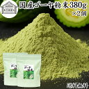 ゴーヤ粉末 380g×2個 青汁 粉末 国産 ゴーヤー茶 ゴーヤ茶 ゴーヤ パウダー 保存料 無添加 あおじる 粉末 野菜 ジュース ごーやー茶 ごーや茶 ごー...