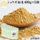 ショウガ 粉末 400g×5個 生姜 粉末 パウダー ジンジャー ショウガ 100% 乾燥 しょうが 茶 紅茶 生姜湯 ショウガ湯 サプリ サプリメント 生生姜 保存料 無添加 無着色 無香料 ぽかぽか ショウガオール ジンゲロール 温活 妊活 ダイエット 対策 お試し おためし 牛乳 豆乳