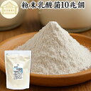 粉末乳酸菌 10兆個 1kg フェカリス菌 サプリ サプリメント パウダー 乳酸菌 粉末 プロバイオティクス 菌活 腸活 腸内フローラ 乳酸菌 パウダー 飲料 砂糖不使用 自然健康社 ペット わんこ 犬 猫 ラクリス菌 シールド スマート ビフィズス菌 おすすめ オリゴ糖 ダイエット