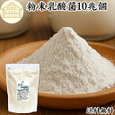 粉末乳酸菌 10兆個 1kg フェカリス菌 サプリ サプリメント パウダー 乳酸菌 粉末 送料無料 プロバイオティクス 菌活 腸活 腸内フローラ 乳酸菌 パウダー 飲料 砂糖不使用 自然健康社 ペット わんこ 犬 猫 ラクリス菌 シールド スマート ビフィズス菌 おすすめ オリゴ糖