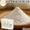 粉末乳酸菌 10兆個 1kg×3個 フェカリス菌 サプリ サプリメント パウダー 乳酸菌 粉末 送料無料 プロバイオティクス 菌活 腸活 腸内フローラ 乳酸菌 パウダー 飲料 砂糖不使用 自然健康社 ペット わんこ 犬 猫 ラクリス菌 シールド スマート ビフィズス菌 おすすめ オリゴ糖