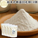 粉末乳酸菌 10兆個 1kg×4個 フェカリス菌 サプリ サプリメント パウダー 乳酸菌 粉末 プロバイオティクス 菌活 腸活 腸内フローラ 乳酸菌 パウダー 飲料 砂糖不使用 自然健康社 ペット わんこ 犬 猫 ラクリス菌 シールド スマート ビフィズス菌 おすすめ オリゴ糖 ダイエッ