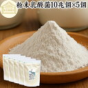 粉末乳酸菌 10兆個 1kg×5個 フェカリス菌 サプリ サプリメント パウダー 乳酸菌 粉末 プロバイオティクス 菌活 腸活 腸内フローラ 乳酸菌 パウダー 飲料 砂糖不使用 自然健康社 ペット わんこ 犬 猫 ラクリス菌 シールド スマート ビフィズス菌 おすすめ オリゴ糖 ダイエッ