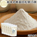 粉末乳酸菌 10兆個 1kg×5個 フェカリス菌 サプリ サプリメント パウダー 乳酸菌 粉末 送料無料 プロバイオティクス 菌活 腸活 腸内フローラ 乳酸菌 パウダー 飲料 砂糖不使用 自然健康社 ペット わんこ 犬 猫 ラクリス菌 シールド スマート ビフィズス菌 おすすめ オリゴ糖
