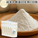 粉末乳酸菌 10兆個 1kg×10個 フェカリス菌 サプリ サプリメント パウダー 乳酸菌 粉末 プロバイオティクス 菌活 腸活 腸内フローラ 乳酸菌 パウダー...