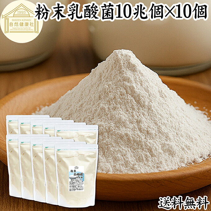 粉末乳酸菌 10兆個 1kg×10個 フェカリス菌 サプリ サプリメント パウダー 乳酸菌 粉末 プロバイオティ..