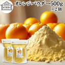 オレンジパウダー 500g×2個 フルーツ みかん 粉末 スムージー 果実 果汁 くだもの 果物 野菜 ぱうだー 業務用 フレーバー 香料 ジュース アイス ヨ...