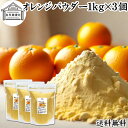 オレンジパウダー 1kg×3個 フルーツ みかん 粉末 オレンジ粉末 粉末ジュース スムージー 果汁 業務用 フレーバー 香料 ジュース アイス ヨーグルト ケ...