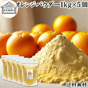 オレンジパウダー 1kg×5個 フルーツ みかん 粉末 オレンジ粉末 粉末ジュース スムージー 果汁 業務用 フレーバー 香料 ジュース アイス ヨーグルト ケ...