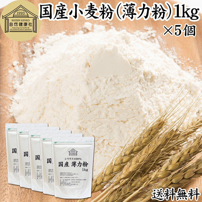 Other - 小麦粉 国産 薄力粉 1kg×5個 薄力小麦粉 菓子用 国内産 北海道産 シリウス 割合 100% 保存料 無添加 大容量 業務用 スポンジケーキ パンケーキ ホットケーキ マフィン アイシング クッキー カステラ 天ぷら 衣 製菓 製パン 焼き 菓子作り 材料 食材 自家製 ヘルシー お菓子
