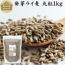 発芽ライ麦 丸粒 1kg 全粒 粒 ドイツ産 ライ麦パン ライブレッド パン用 発芽 ライ麦 ナチュラル 割合 100% モルト ライムギ 保存料 無添加 大容量 業務用 食パン 製菓 製パン パン作り 材料 サラダ スープ 食材 ベーカリー レシピ 自家製 ヘルシー お菓子 クッキー スコーン