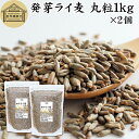 発芽ライ麦 丸粒1kg×2個 全粒 粒 ドイツ産 ライ麦パン ライブレッド パン用 発芽 ライ麦 ナチュラル 割合 100% モルト ライムギ 保存料 無添加 大容量 業務用 食パン 製菓 製パン パン作り サラダ スープ 食材 ベーカリー レシピ 自家製 ヘルシー 菓子 クッキー スコーン