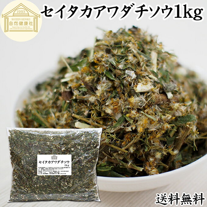 セイタカアワダチソウ 1kg 花 つぼみ 乾燥 茎 葉 国産 100% 無農薬 無添加 ゴールデンロッド ポリフェ..