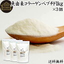魚コラーゲンペプチド 1kg×3個 粉末 パウダー サプリ サプリメント コラーゲン ペプチド 魚 由来 フィッシュ マリン 超低分子 100% 保存料 無添加...