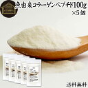 魚コラーゲンペプチド 100g×5個 粉末 パウダー サプリ サプリメント コラーゲン ペプチド 魚 由来 フィッシュ マリン 超低分子 100% 保存料 無添...