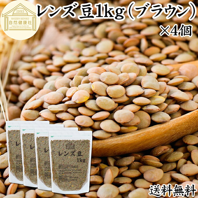 レンズ豆 ブラウン 1kg×4個 レンズマメ 100% 薄皮付 アメリカ産 皮つき レンティル レンチル ヒラマメ ..