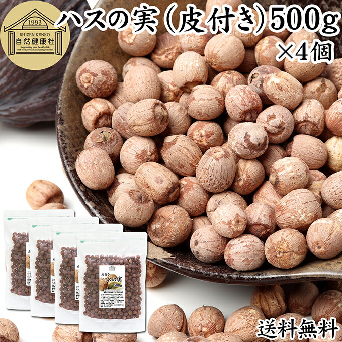 ハスの実 皮付き 500g×4個 蓮の実 はすの実 蓮実 レンジツ アルカロイド 保存料 無添加 乾燥 無漂白 無着色 蓮茶 はす茶 薬膳茶 業務用 食材 健康食材 漢方 薬膳 美容 ダイエット ごはん 具材 スープ 炊き込みご飯 煮込み 中華食材 茹でる おかゆ お粥 おこわ 甘納豆 砂糖漬