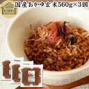 おかゆ玄米 560g×3個 玄米がゆ 薬膳 お粥 おかゆ リゾット 雑炊 湯戻し インスタント 簡単調理 炒り玄米 煎り玄米 焙じ玄米 玄米フレーク お茶漬け ...