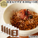 おかゆ玄米 560g×5個 玄米がゆ 薬膳 お粥 おかゆ リゾット 雑炊 湯戻し インスタント 簡単調理 炒り玄米 煎り玄米 焙じ玄米 玄米フレーク お茶漬け ...