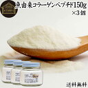 魚コラーゲンペプチド 150g×3個 粉末 パウダー サプリ サプリメント コラーゲン ペプチド 魚 由来 フィッシュ マリン 超低分子 100% 保存料 無添加 無着色 無香料 純粋 動物性 水溶性 たんぱく質 飲料 健康 食品 美容 スキンケア collagen アミノ酸 コーヒー お茶 ジュース