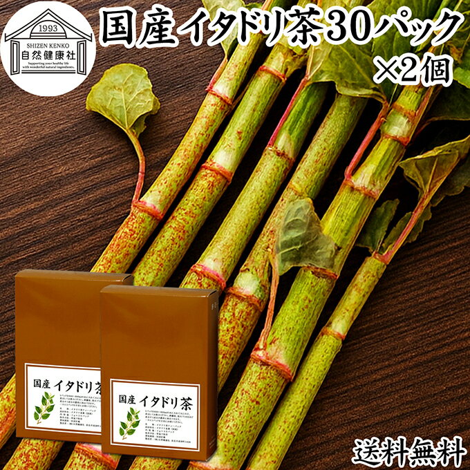 Rakuten - イタドリ茶 7g×30パック×2個 いたどり茶 虎杖茶 無農薬 国産 奈良県産 100% 農薬不使用 保存料 無添加 健康茶 ノンカフェイン カフェインレス デカフェ ティーパック ティーバッグ 薬草茶 煮出し 煎じ出し 無着色 健康飲料 健康食品 お茶 美容茶 サプリメント 飲みやすい