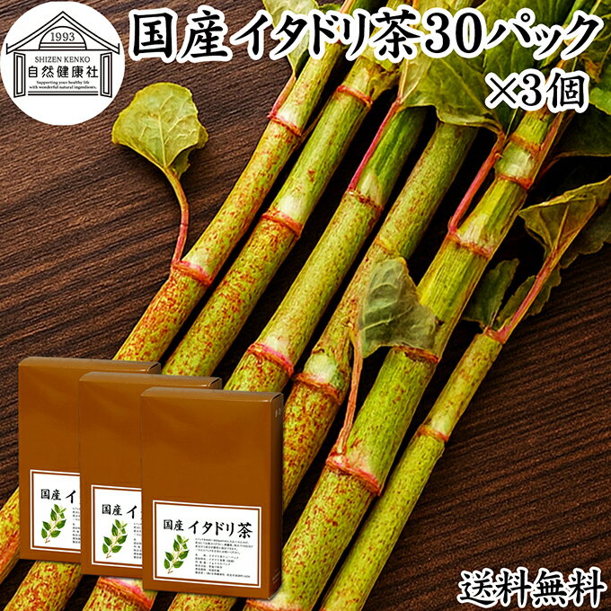 Rakuten - イタドリ茶 7g×30パック×3個 いたどり茶 虎杖茶 無農薬 国産 奈良県産 100% 農薬不使用 保存料 無添加 健康茶 ノンカフェイン カフェインレス デカフェ ティーパック ティーバッグ 薬草茶 煮出し 煎じ出し 無着色 健康飲料 健康食品 お茶 美容茶 サプリメント 飲みやすい