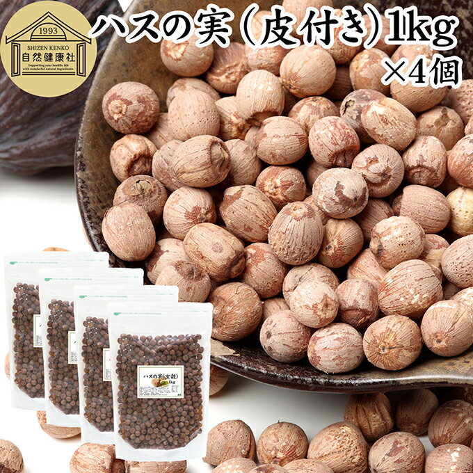 ハスの実 皮付き 1kg×4個 蓮の実 はすの実 蓮実 レンジツ アルカロイド 保存料 無添加 乾燥 無漂白 無着色 蓮茶 はす茶 薬膳茶 業務用 食材 健康食材 漢方 薬膳 美容 ダイエット ごはん 具材 スープ 炊き込みご飯 煮込み 中華食材 茹でる おかゆ お粥 おこわ 甘納豆 砂糖漬