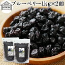 ブルーベリー 1kg×2個 ドライ ドライフルーツ ブルー ベリー 乾燥 業務用 カルチベイト カルティベイト サプリ ルテイン 着色料 保存料 香料 不使用 ...